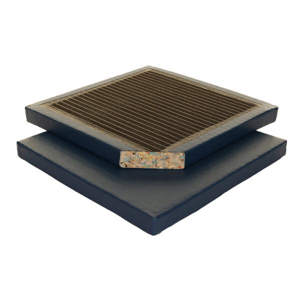 Agility Mat