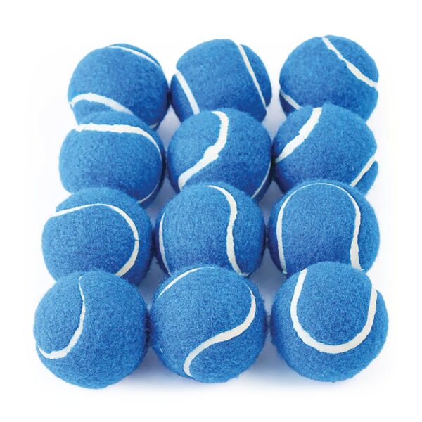 Tennis Balls (Pack of 12) - Image 3