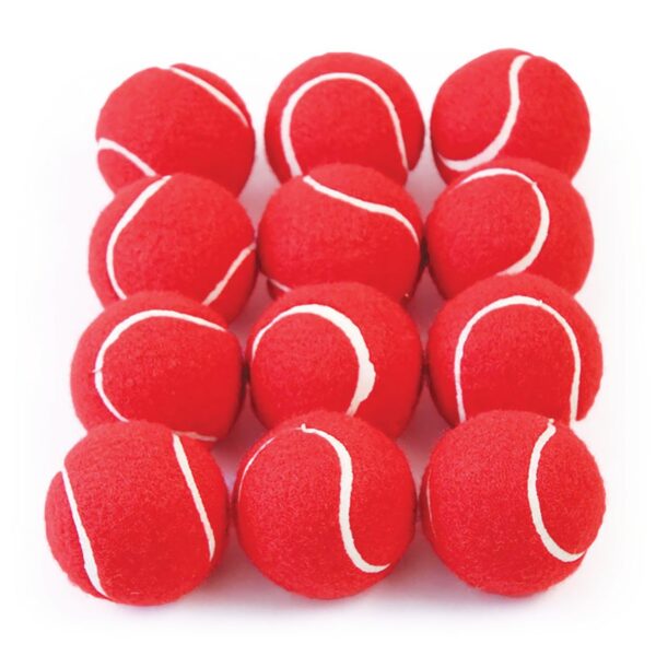 Tennis Balls (Pack of 12) - Image 4